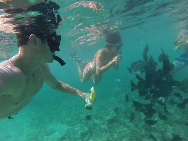 Snorkeling