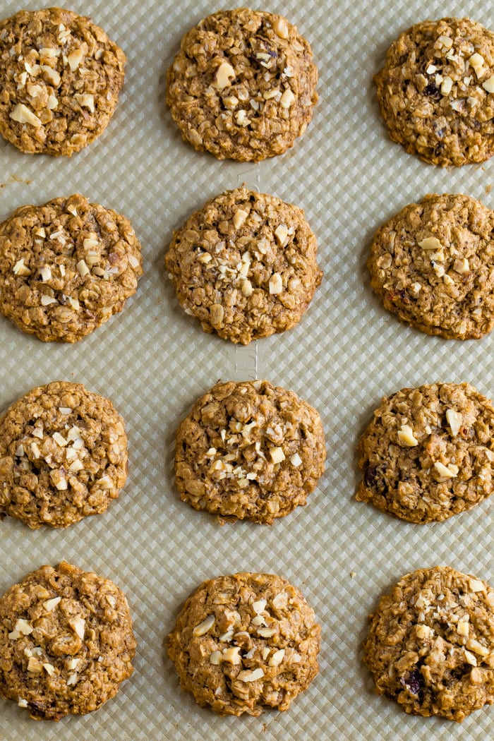 Twelve oatmeal date cookies lined up in rows on a baking sheet