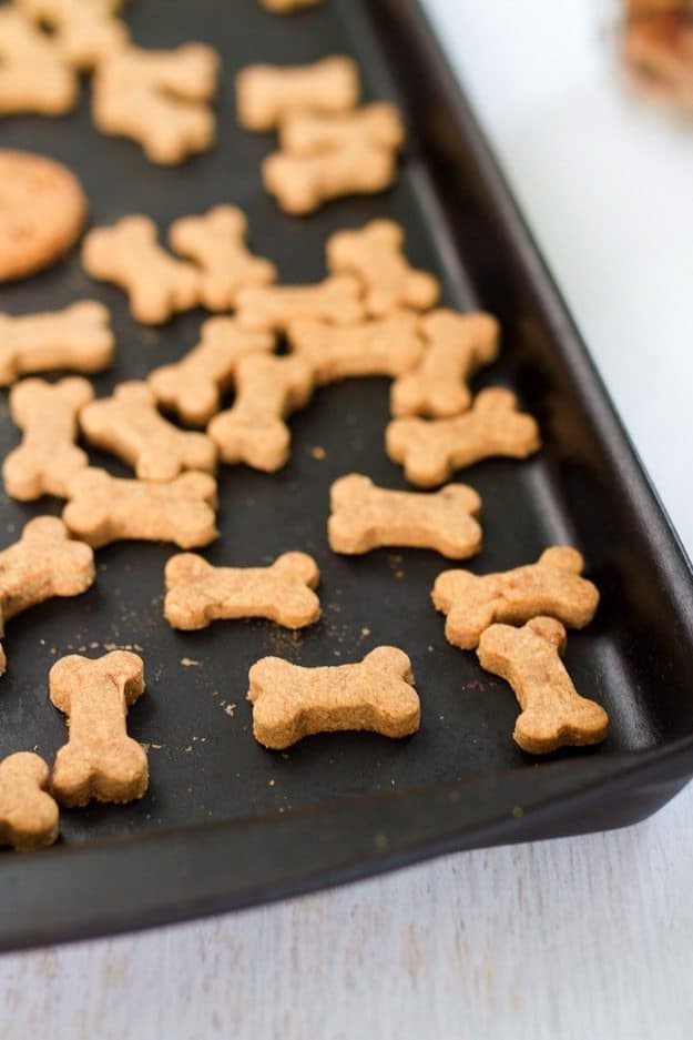 homemade dog treats with pumpkin puree