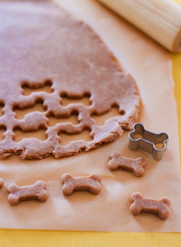 homemade dog treats with chicken broth