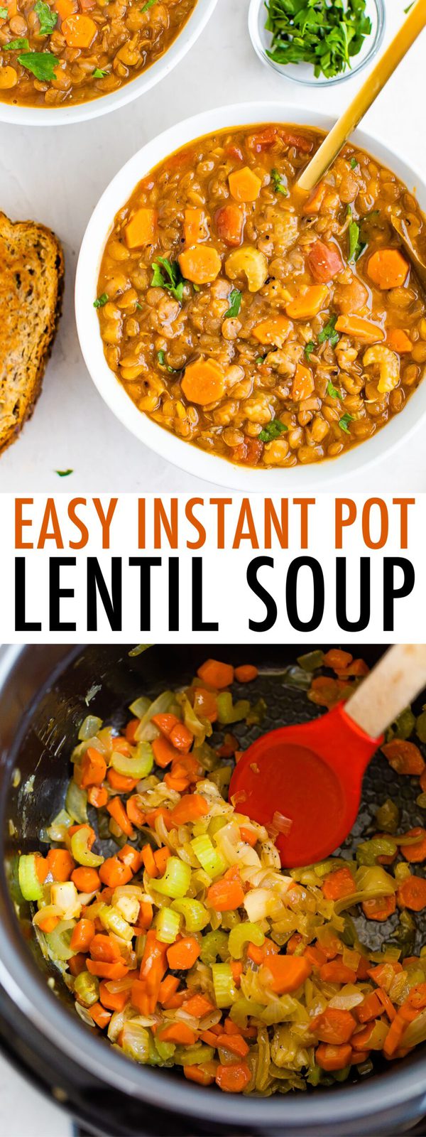Vegan Lentil Soup {Stove Top or Instant Pot} Eating Bird Food