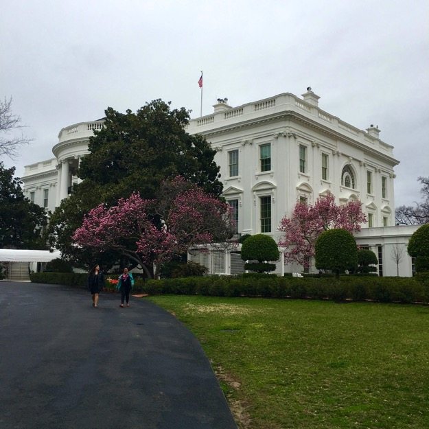 The White House.jpg The White House