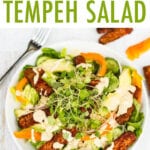 Blackened tempeh on a salad with orange tahini dressing, micro greens and peppers.