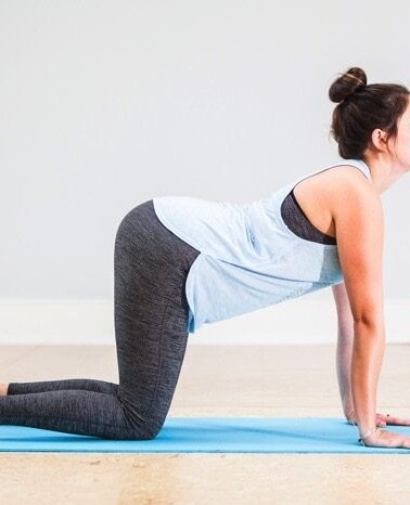 A woman on a blue yoga mat in cow pose.