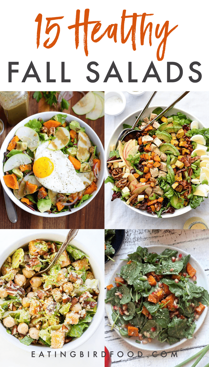 18-delicious-fall-salads-eating-bird-food