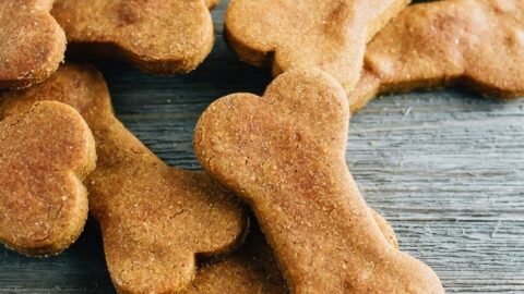 A few peanut butter pumpkin bone shaped dog treats sitting on a wood surface, in front of an open jar of the treats.
