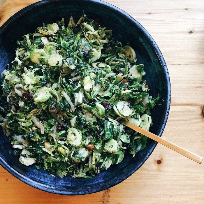 Loving Lately Eating Bird Food