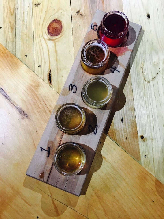 Kombucha Tasting