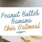 Peanut Butter Chia Oatmeal Long Pin