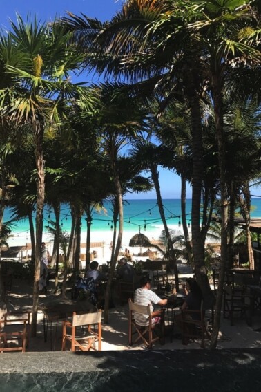 Outdoor dining next to the ocean with big palm trees.
