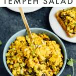 Bowl of curried tempeh salad with a curry dressing, tempeh, raisins, and veggies.