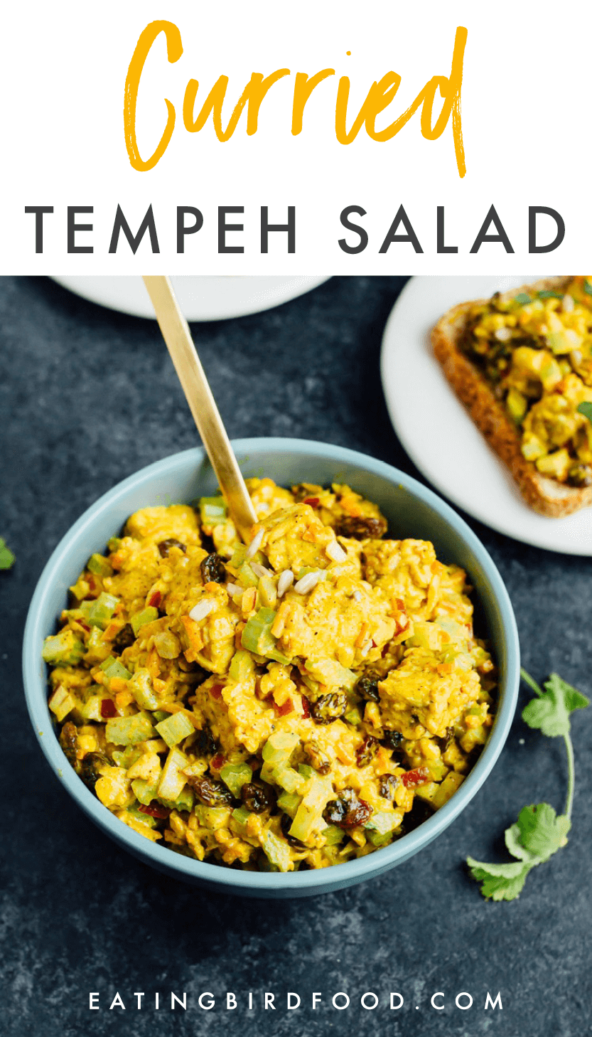 Curried Tempeh Salad Eating Bird Food
