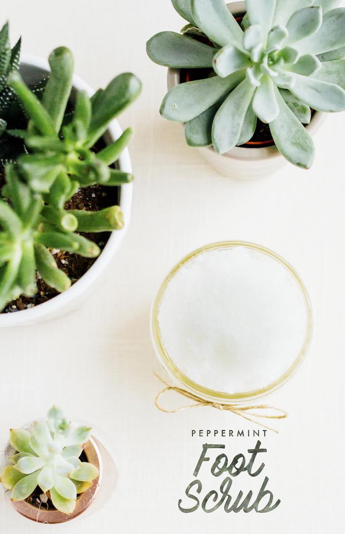 3-Ingredient Peppermint Foot Scrub in a clear mason jar with twine ribbon next to succulent plants.