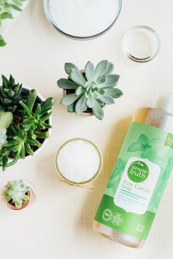 3Ingredient Foaming Peppermint Foot Scrub for Runners Eating Bird Food