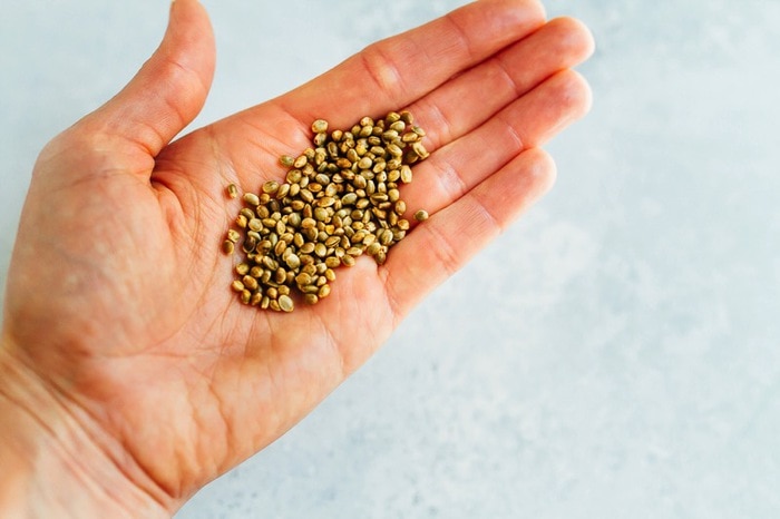 Toasted Hemp Seeds