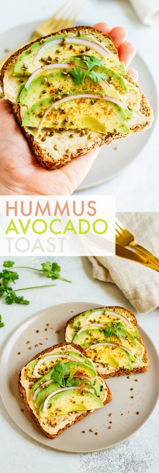 Hummus Avocado Toast with Toasted Hemp Seeds - Eating Bird Food