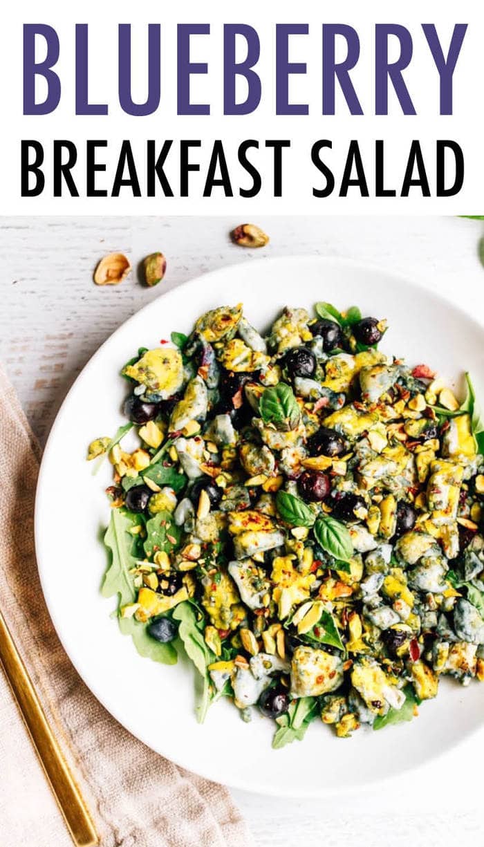 Blueberry Breakfast Salad Eating Bird Food