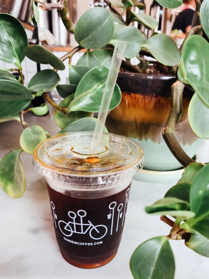 Black coffee in a to-go cup in front of a plant.
