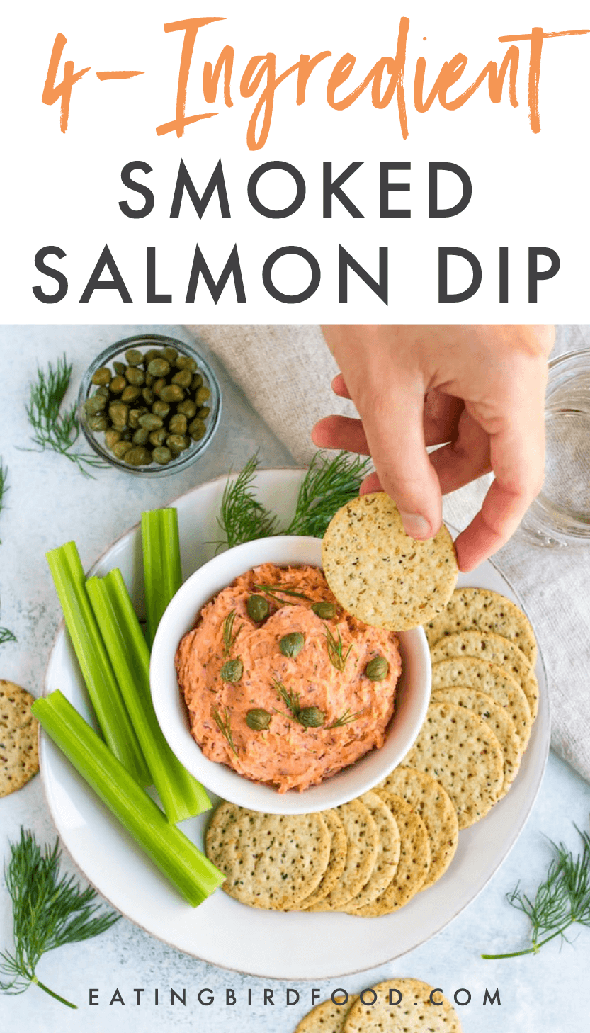 The Best Smoked Salmon Dip (10 Minutes) - Eating Bird Food