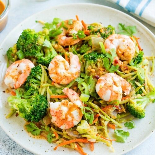 Shrimp StirFry Salad Eating Bird Food