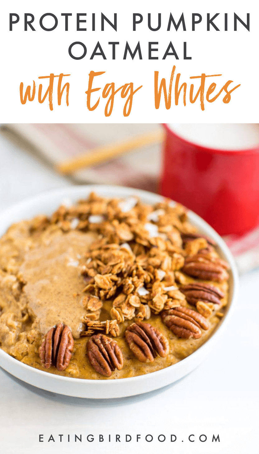 Protein Pumpkin Oatmeal with Egg Whites Eating Bird Food