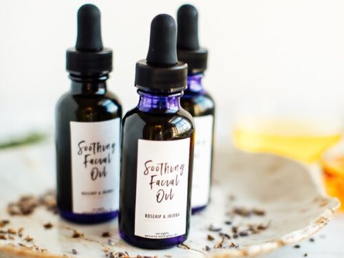 Jojoba Rosehip Diy Facial Oil Eating Bird Food