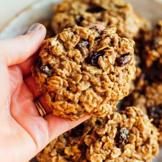 The BEST Healthy Oatmeal Cookies Eating Bird Food