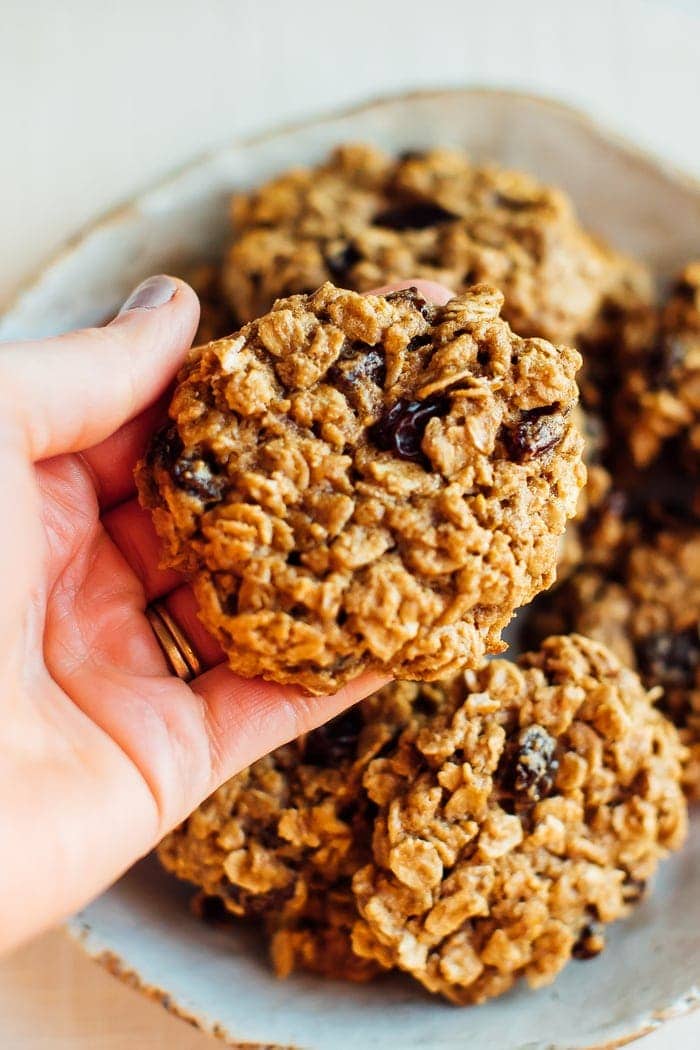 The Best Healthy Oatmeal Cookies Eating Bird Food