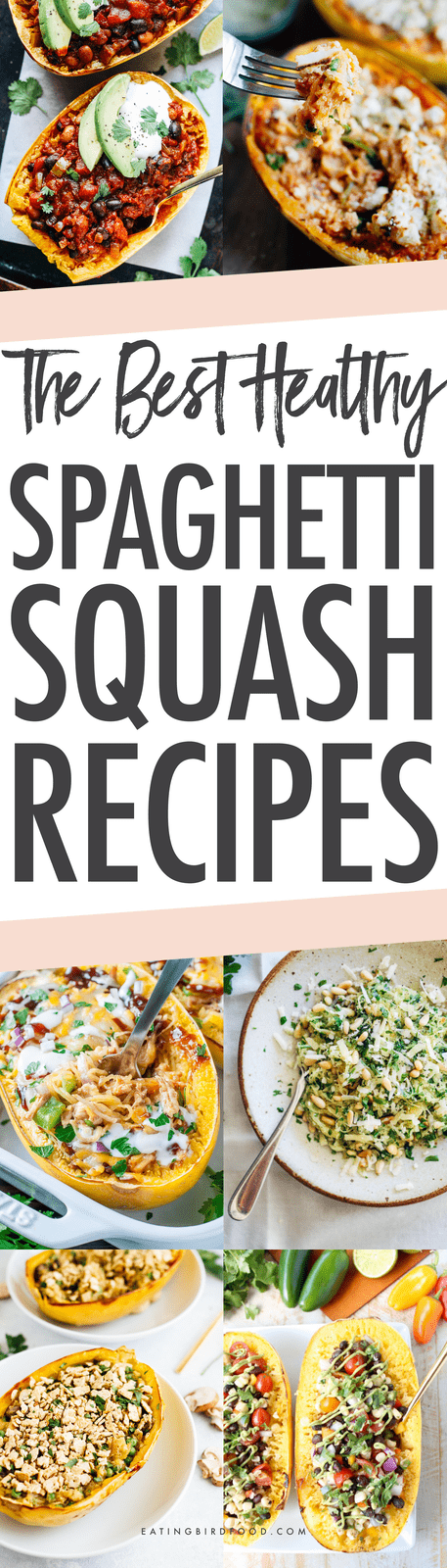 Get creative this winter with 22 healthy spaghetti squash recipes. Spaghetti squash is a delicious, low-carb seasonal vegetable that can be used a variety of ways -- even for breakfast or dessert!