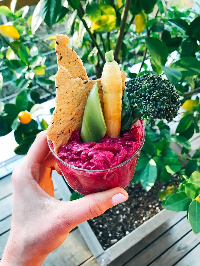 Hand holding beet dip with vegetables and crackers in it.