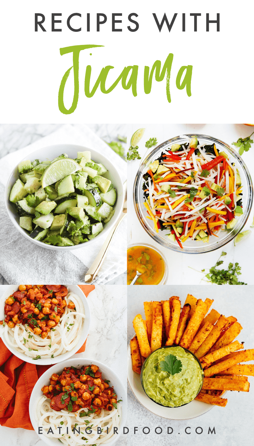 What is Jicama + 12 Jicama Recipes Eating Bird Food