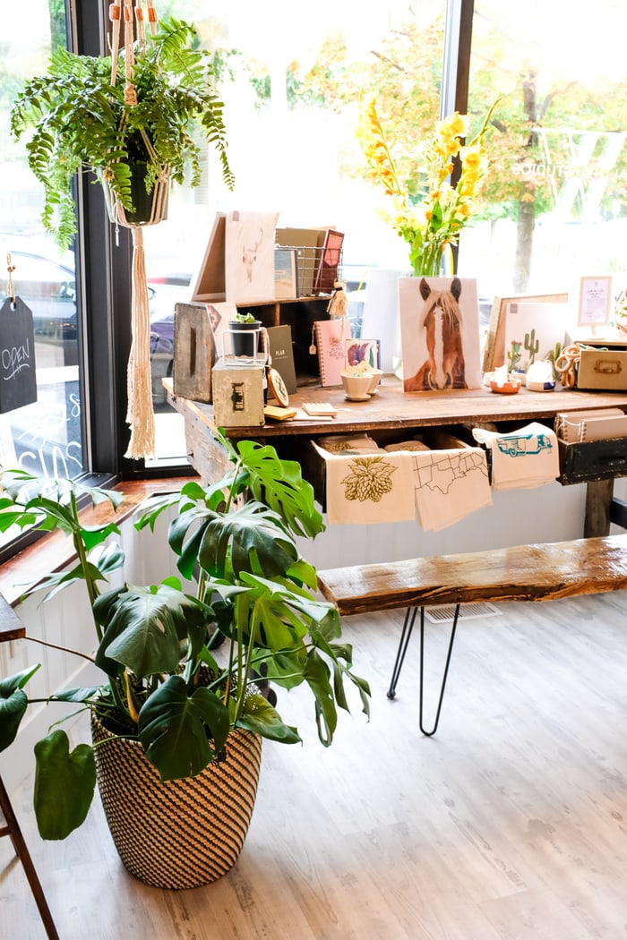 Cute shop with housework items and indoor plants decorating the shop.