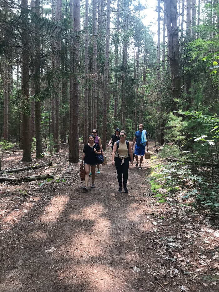 A group of women hiking on a woodland trail.