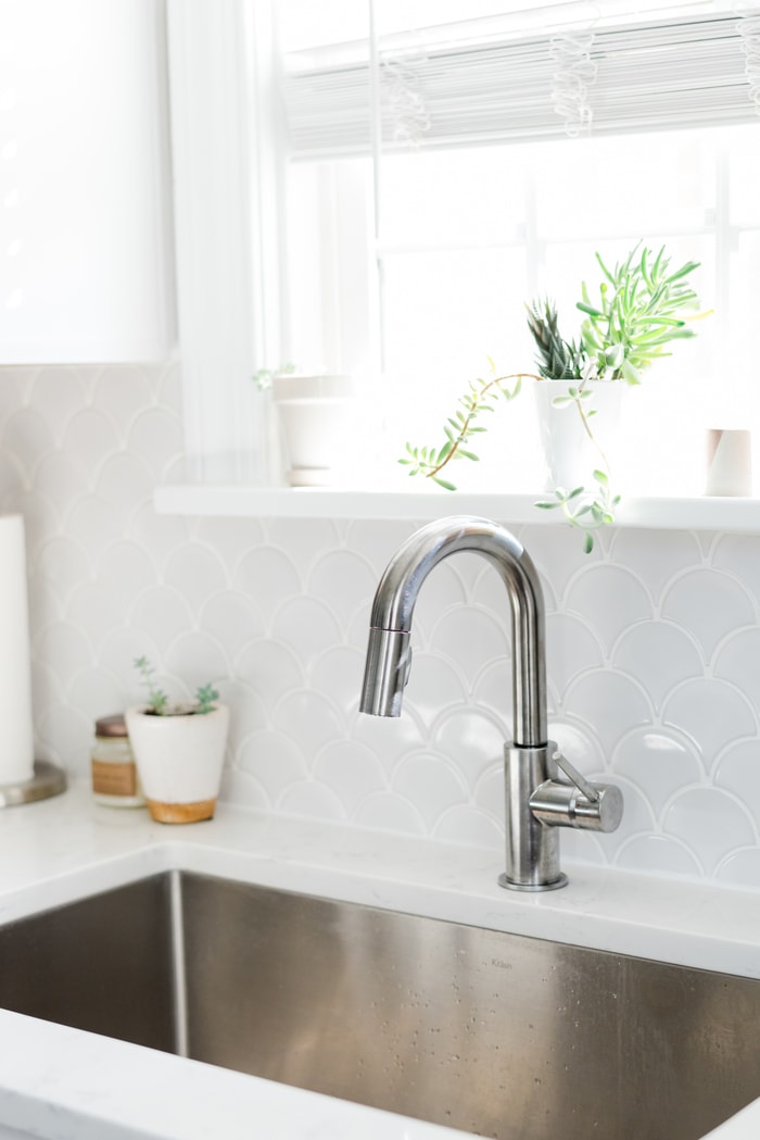 Detail of metal sink in a white kitchen with two plants behind.