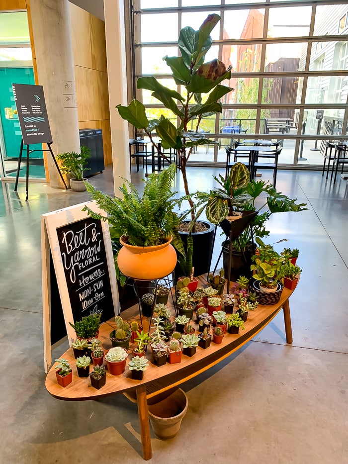 A low table filled with succulents and houseplants at a shop inside of "The Source" in Denver.