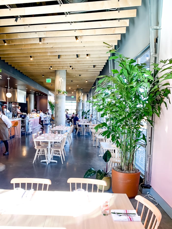 Interior of an Israeli restaurant in Denver. Tables and chairs are simple, and there are indoor plants and wood slat decorative ceiling.