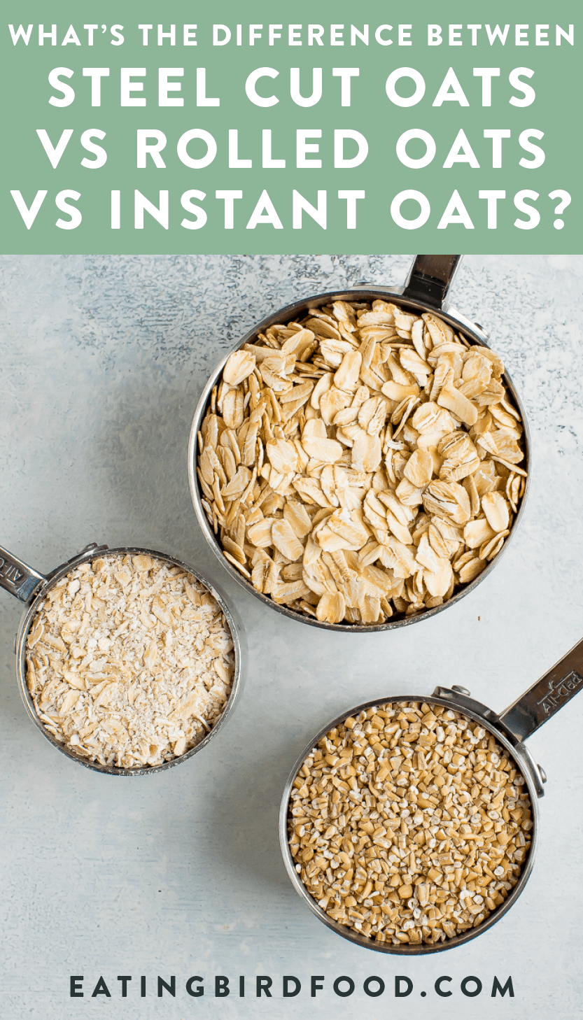 Three measuring cups with steel cut oats, rolled oats, and quick oats. What is the difference between these oats?