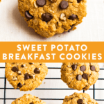 Collage of photos of healthy sweet potato breakfast cookies made with oats, chocolate chips and pecans.