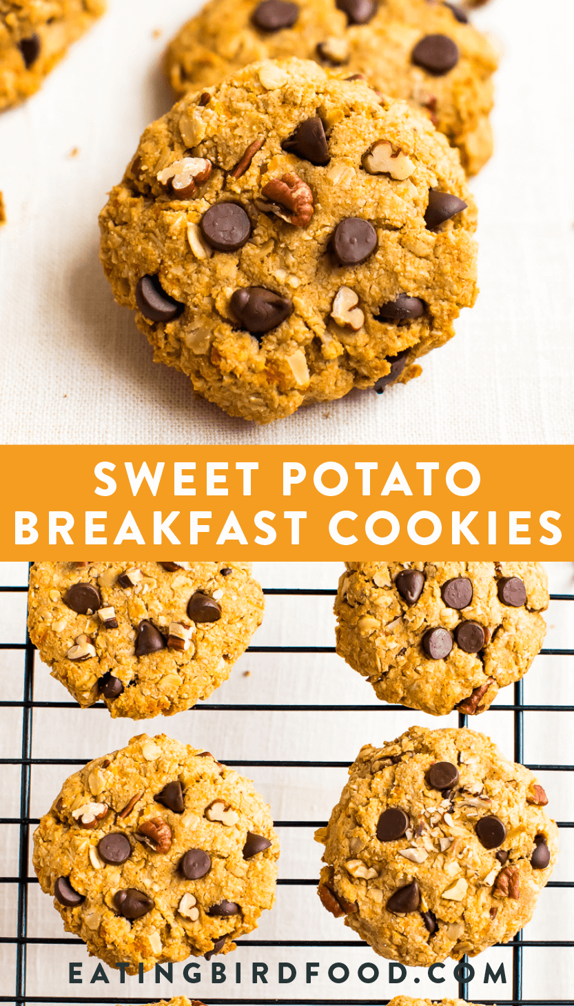 Sweet Potato Breakfast Cookies Eating Bird Food