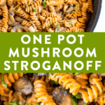 Creamy vegan mushroom stroganoff made with red lentil pasta.