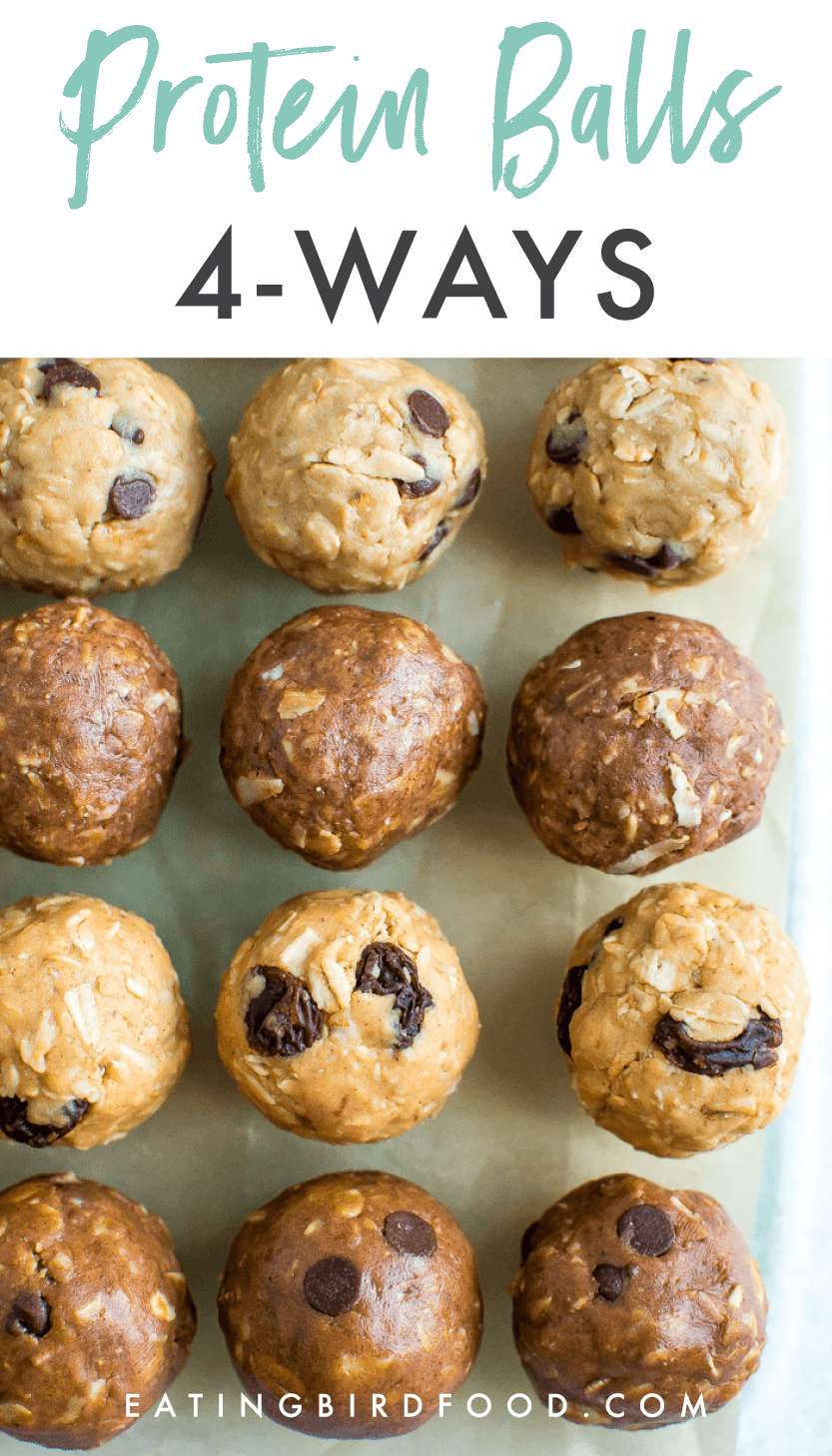 Easy No Bake Protein Balls - 4 Ways - Eating Bird Food