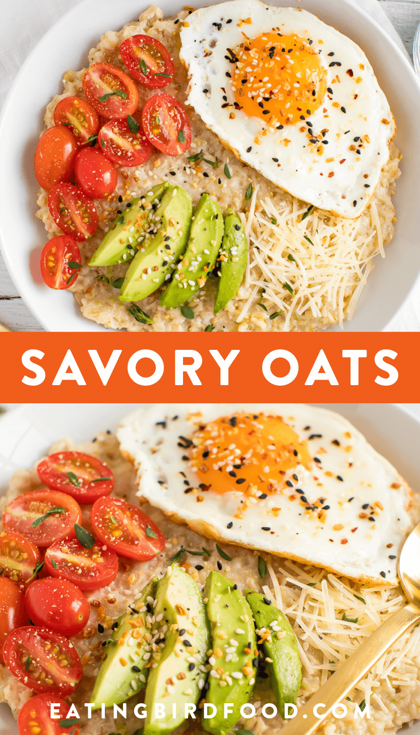 Savory Oatmeal Eating Bird Food