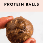 Hand holding a chocolate peanut butter protein ball.