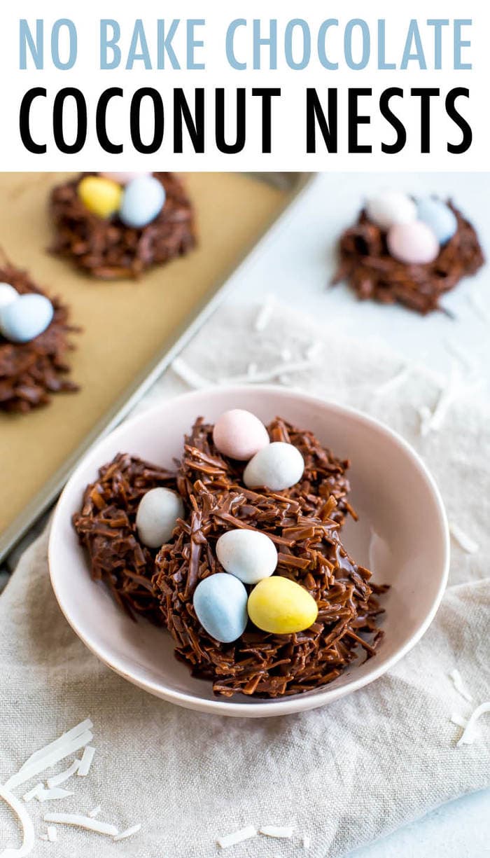 No Bake Chocolate Coconut Nests (Only 3 Ingredients!) Eating Bird Food