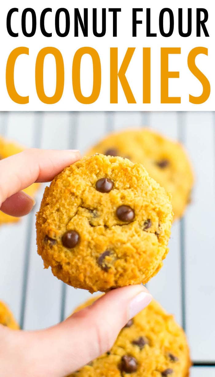Hand holding a coconut flour cookies with chocolate chips.