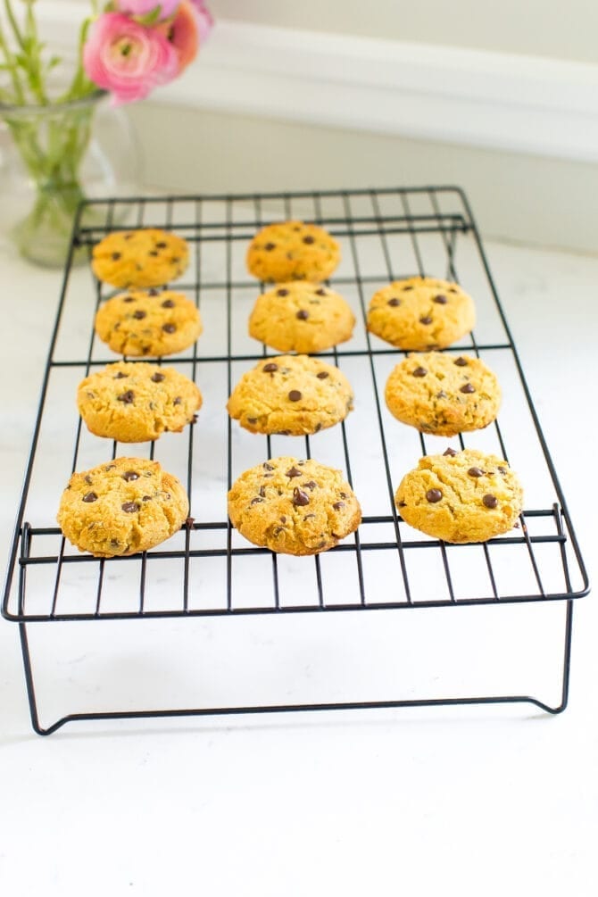 Coconut flour chocolate chip cookies on a wire cooling rack next to a vase of flowers.