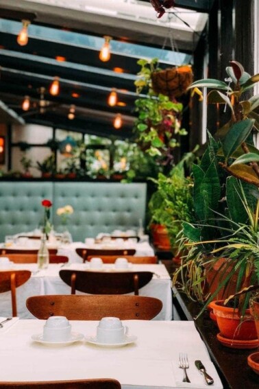 Inside of a restaurant with white table clothes, wood chairs, booths, plants and edison lights.