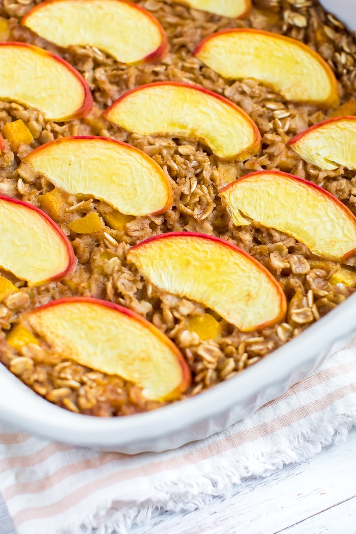 Peach Baked Oatmeal Eating Bird Food