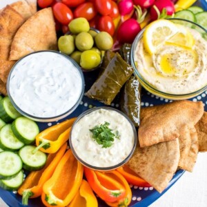 Vegetarian mezze platter with carrots, radishes, tomatoes, cucumber slices, green olives, domades, pita chips, peppers and a variety of hummus and dips.