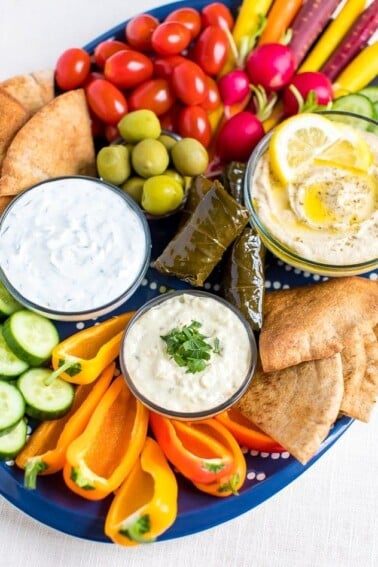 Vegetarian mezze platter with carrots, radishes, tomatoes, cucumber slices, green olives, domades, pita chips, peppers and a variety of hummus and dips.